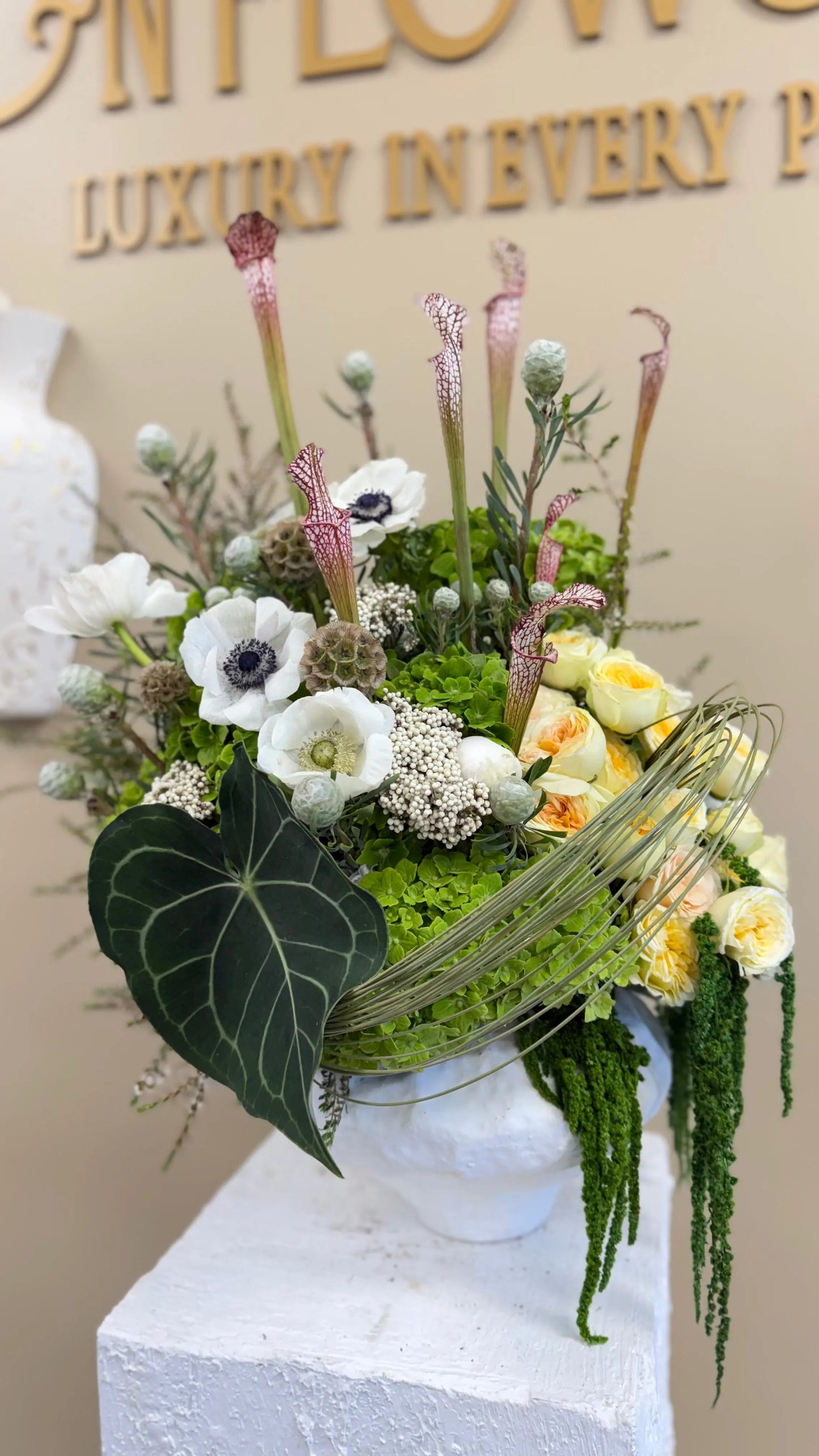 Botanical Muse - Arrangements - A&N Flowers LA