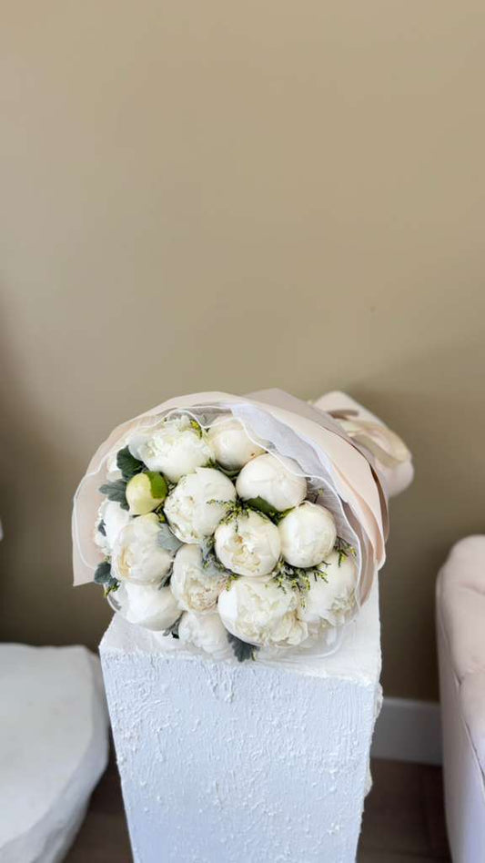 White peonies premium
